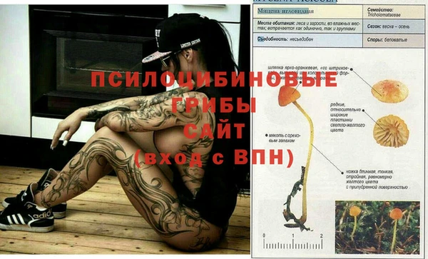 а пвп мука Баксан