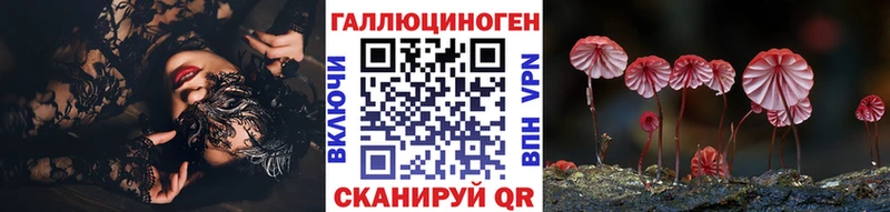 Купить закладки  Шумиха  Псилоцибиновые грибы прущие грибы 