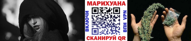 Канабис Bruce Banner  Купить где  Шумиха 